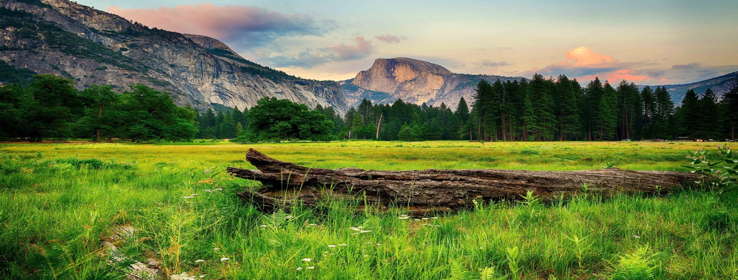 Image for Scenic Bliss